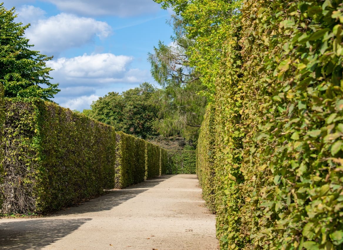 The Wragby Maze image