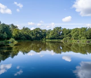 Fishing at Woodland Lakes