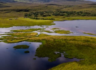 St Mary's Loch image