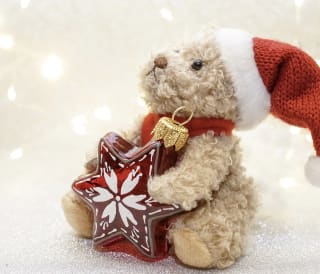 Christmas Teddy Bear Workshop