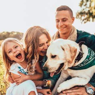 Our top things to do on holiday with your dog image