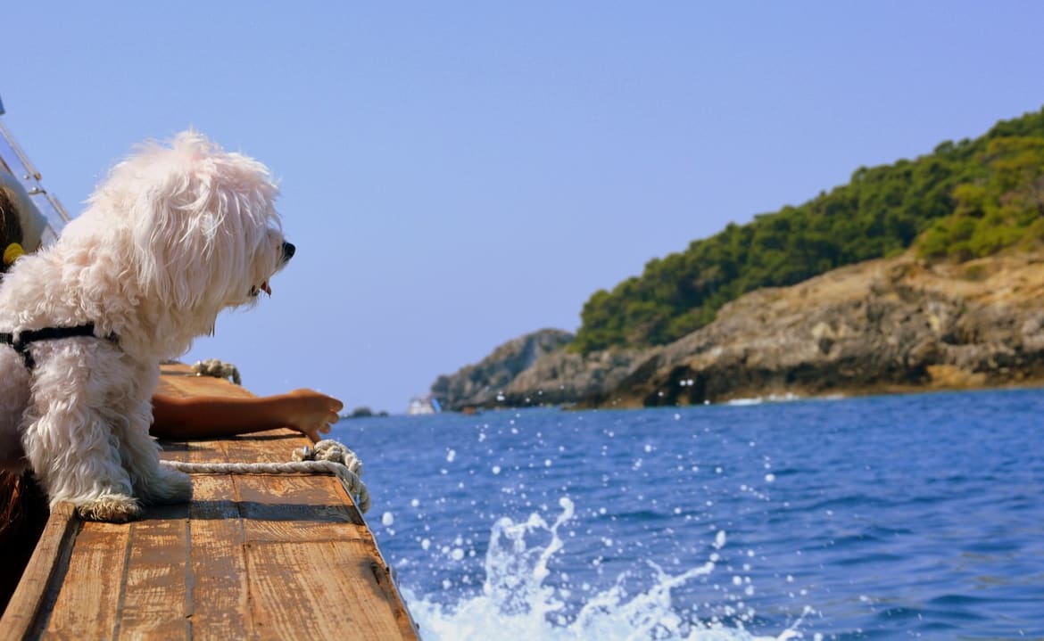 Take a Scenic Boat Trip image