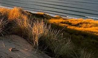 World Ocean Day 2023 image