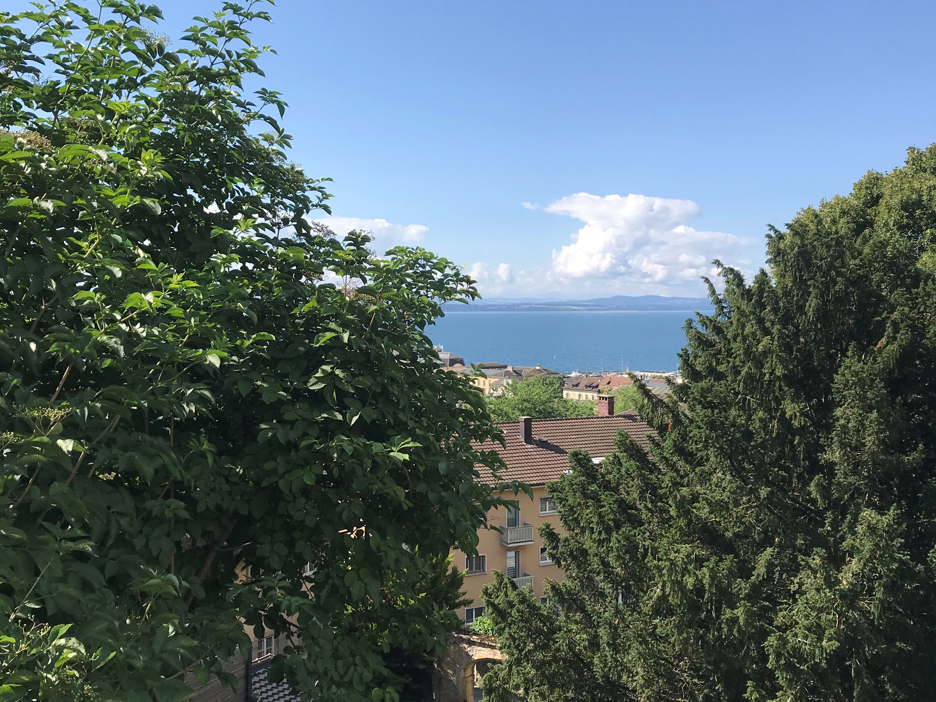 Neuchatel