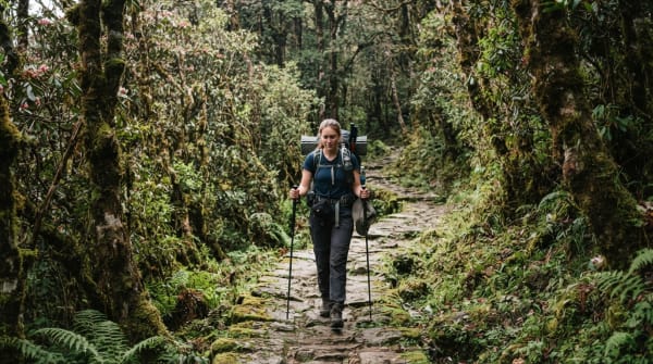 Low Camp to High Camp: Walking the Mardi Himal Ridge