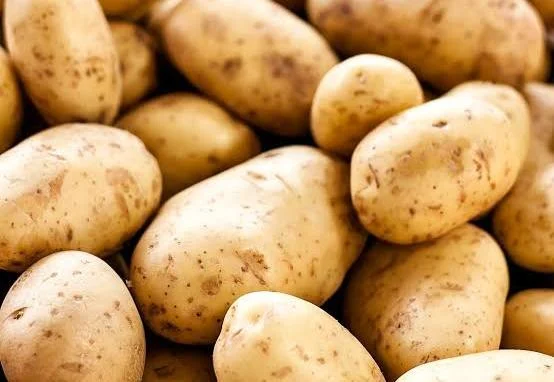 potato