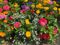 FLOWER MIX - BLOMSTERROMANTIKK