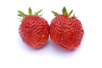 KORONA Frigo A 9-14 mm, import