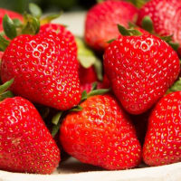 Flair*Frigo A+ (A2+) 14-18 mm, import