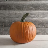 GRESSKAR (HALLOWEEN) RACER F1 UBEISET