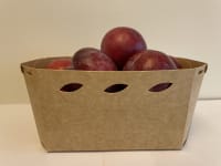 PAPPBEGER P10H67 180x120x67mm  KRT=350