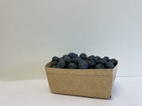 PAPPBEGER P16H55 135x90x55mm KRT=560