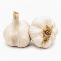 HVITLØK EUROPEAN WHITE