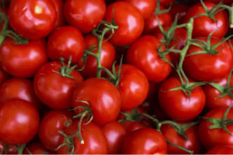 Tomat