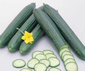 Veksthusagurk