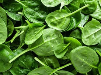 Baby leaf