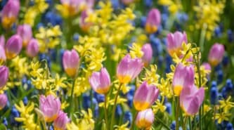Blomsterløk