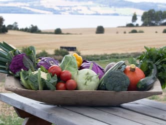 Gjødsel til økologisk drift