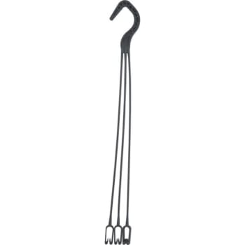 AMPELOPPHENG DESCH 25cm Terra. Krt.=900 PL=42