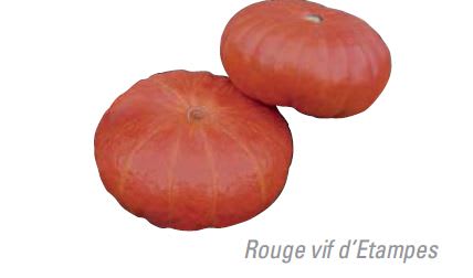 GRESSKAR mat ROUGE VIF D'ETAMPES UB