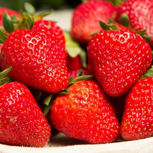 Flair frigo A-  frigo A- 8-10 mm, Import