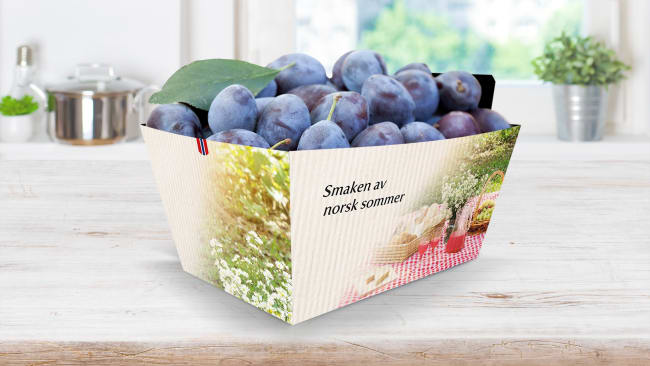 PAPPBEGER SMAKEN AV NORSK SOMMER 500g m/FANE KRT=360