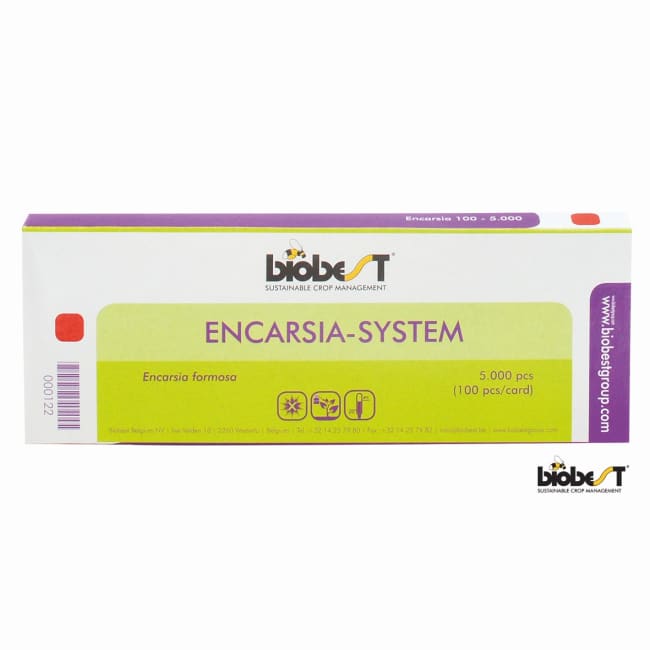 ENCARSIA SYSTEM 5.000 (100/KORT)
