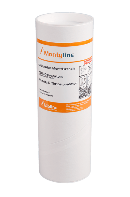 MONTYLINE AM 25.000 I RØR