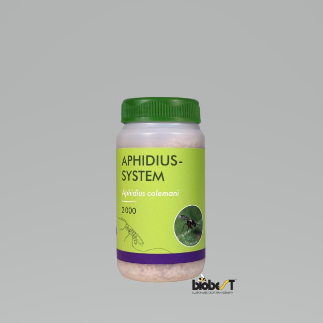 APHIDIUS SYSTEM 2000 STK/FLASKE