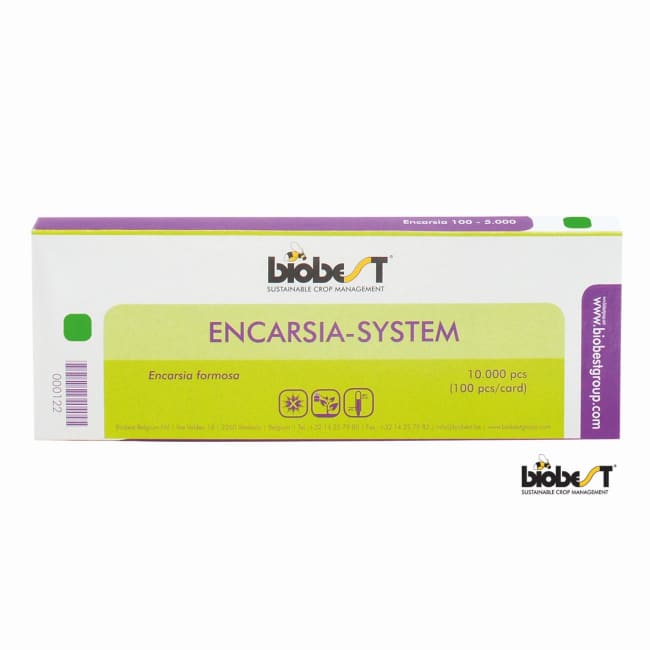 ENCARSIA SYSTEM 10.000 (100/KORT)