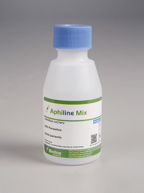 APHILINE MIX 500 STK (250C/250E)