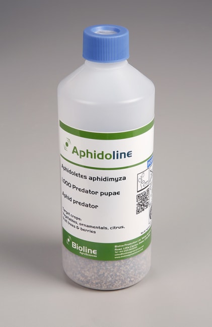 APHIDOLINE A 1000 STK