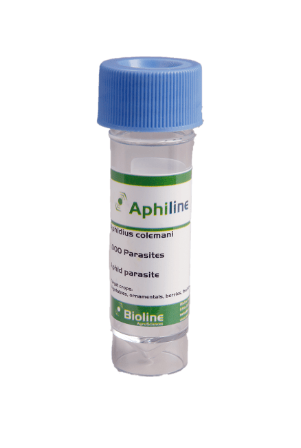 APHILINE C 1000 STK