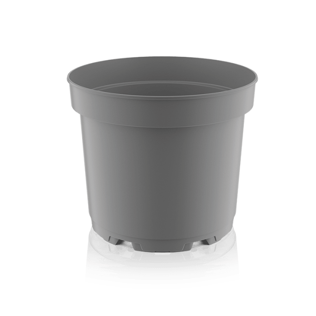 PLANTESKOLE PT. TEKU MCI 17cm 5° 2 Ltr. BGrå Krt.=259 PL=20