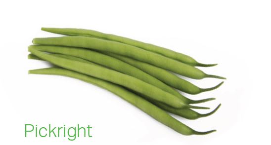 ASPARGESBØNNE PICKRIGHT