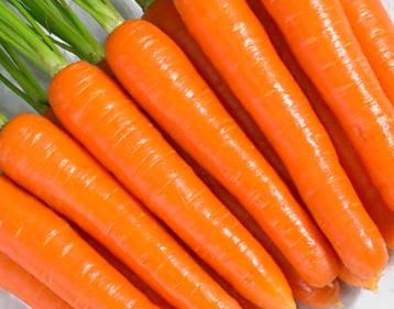 GULROT ROMANCE F1 PILLER