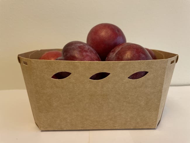 PAPPBEGER P10H67 180x120x67mm  KRT=350