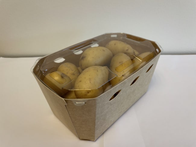 PAPPBEGER P10H82 180x120x82mm KRT=350