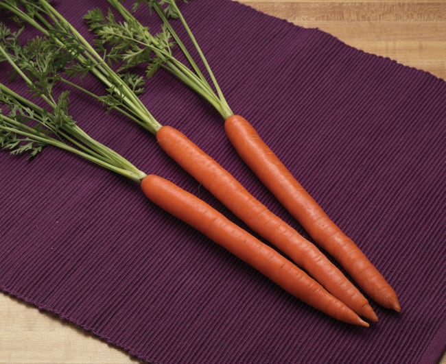 GULROT TRITON F1 UBEISET