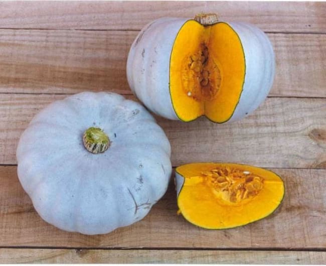 GRESSKAR (MAT) CROWN PRINCE UBEISET