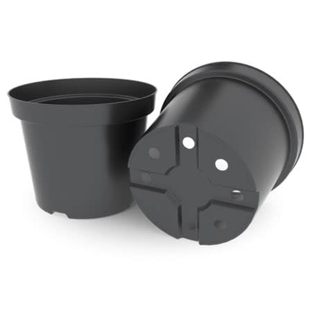 PLANTESKOLE PT. KREUWEL KP 5Ltr. 23cm Antra. PL=1400