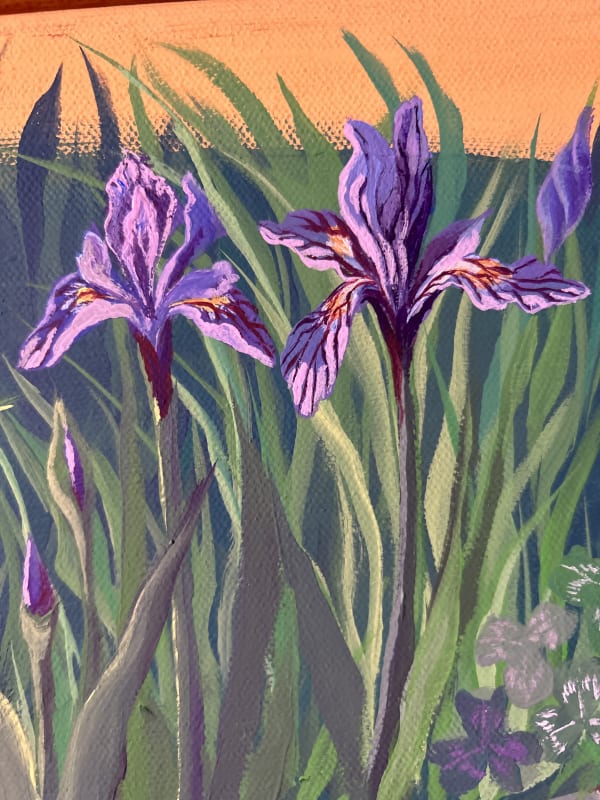 73562069705  A7A46FC5 2474 4F94 9397 095FFBE3AF12 Fe1e4v