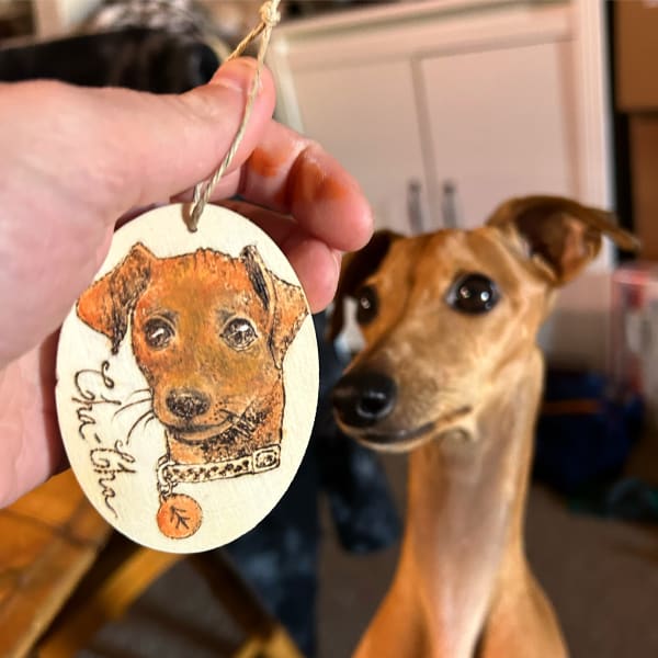 Custom Pet Commission Jmegy3