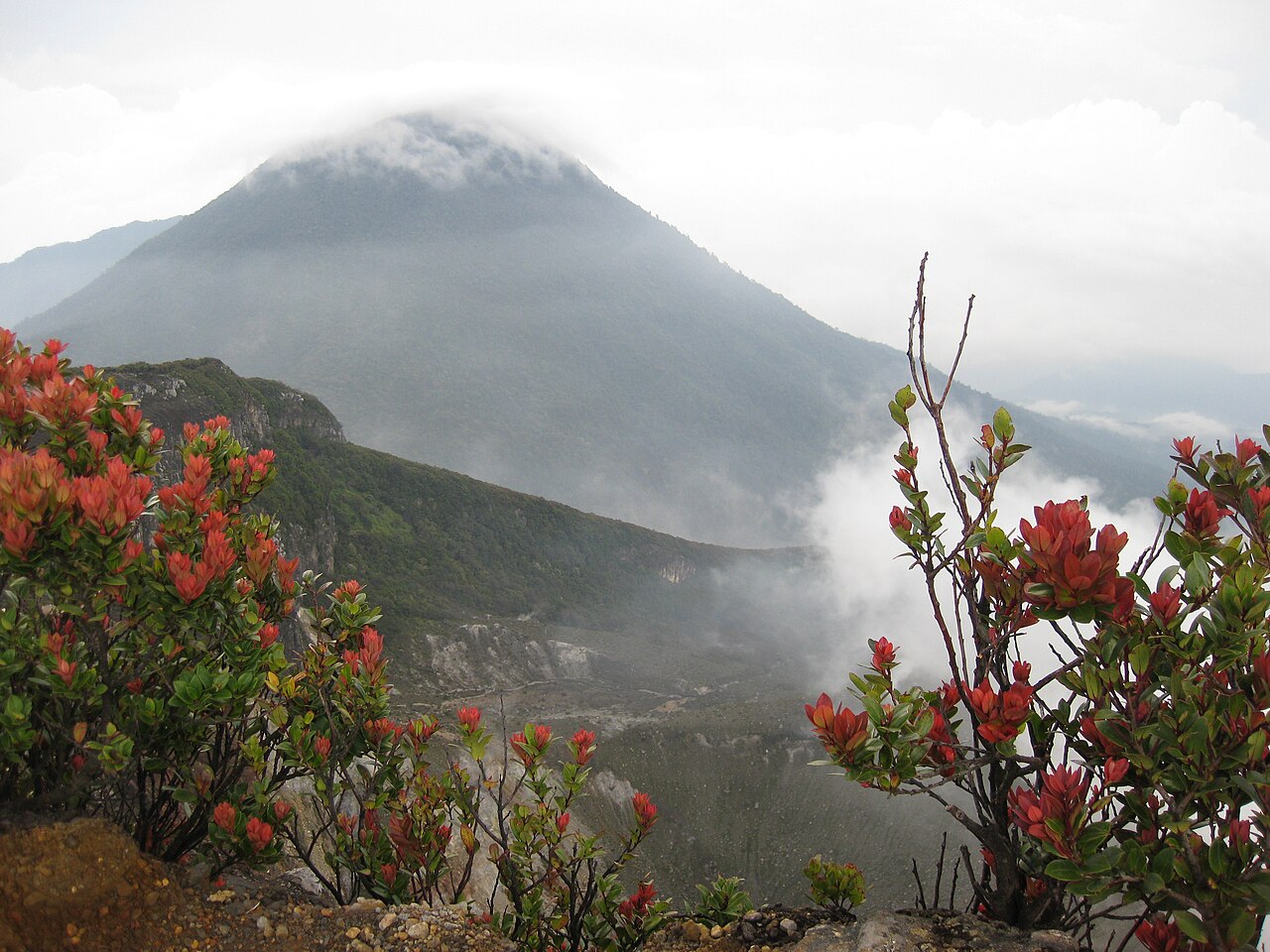 Open Trip Gunung Gede Pangrango