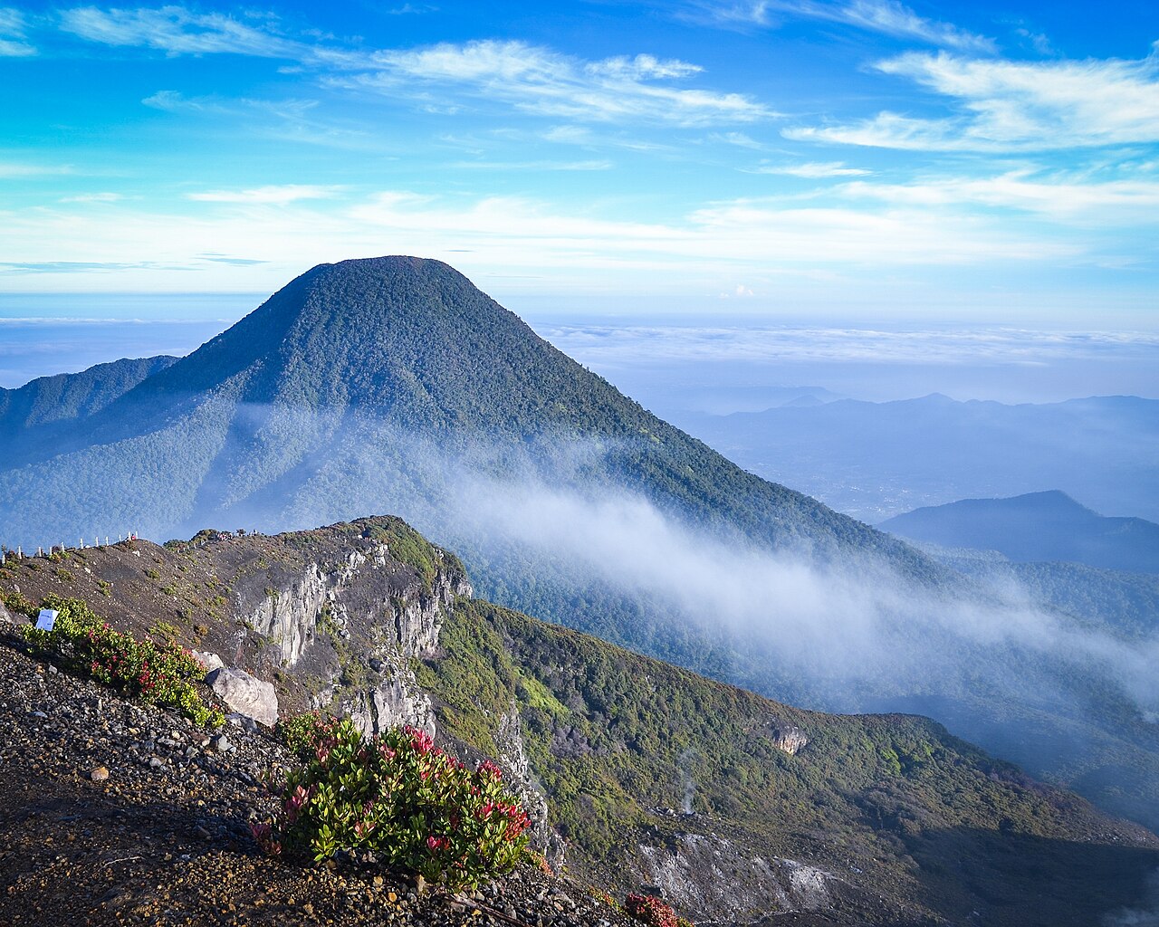 Gunung Gede (One Day Trip)