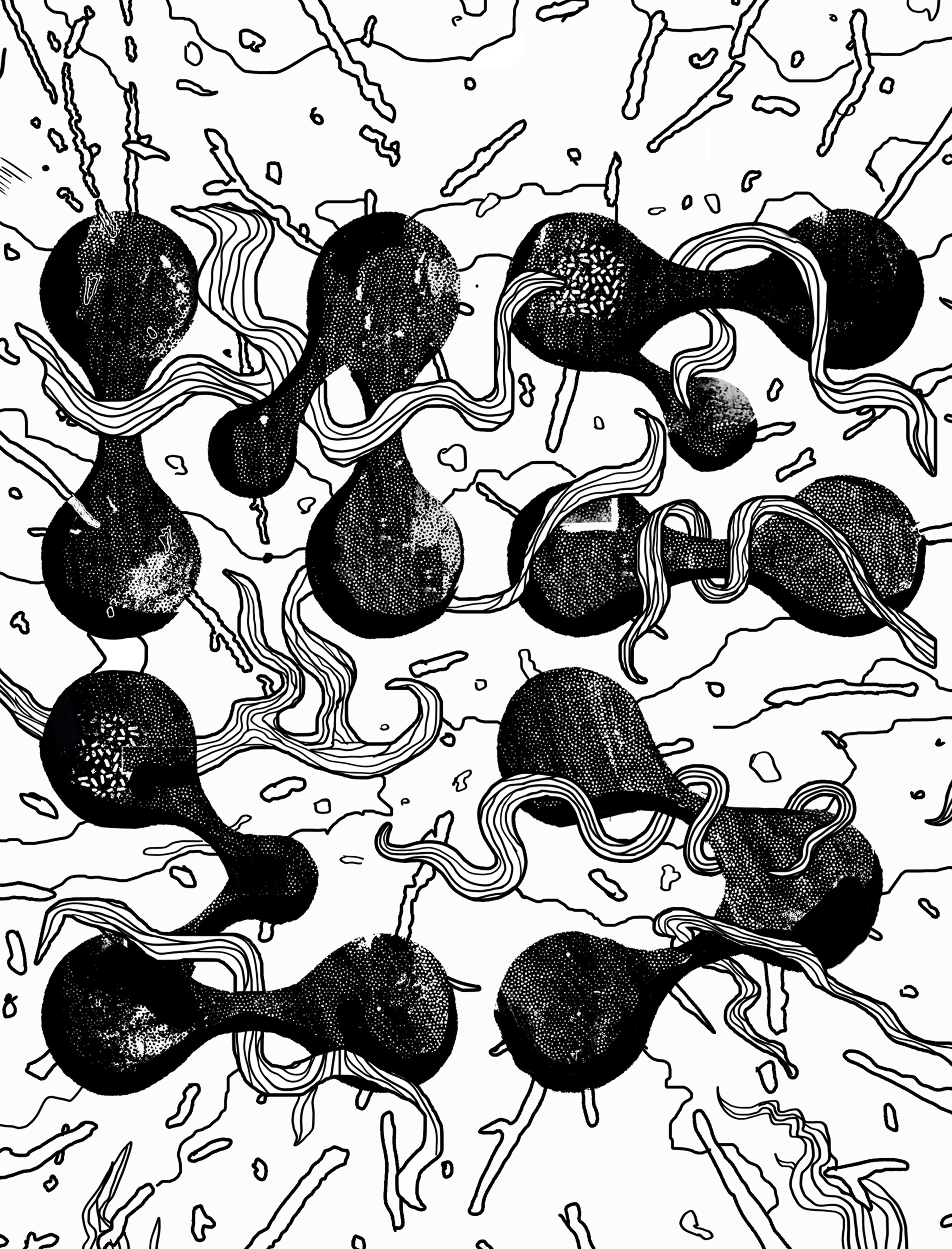 MELD First Edition Poster 1