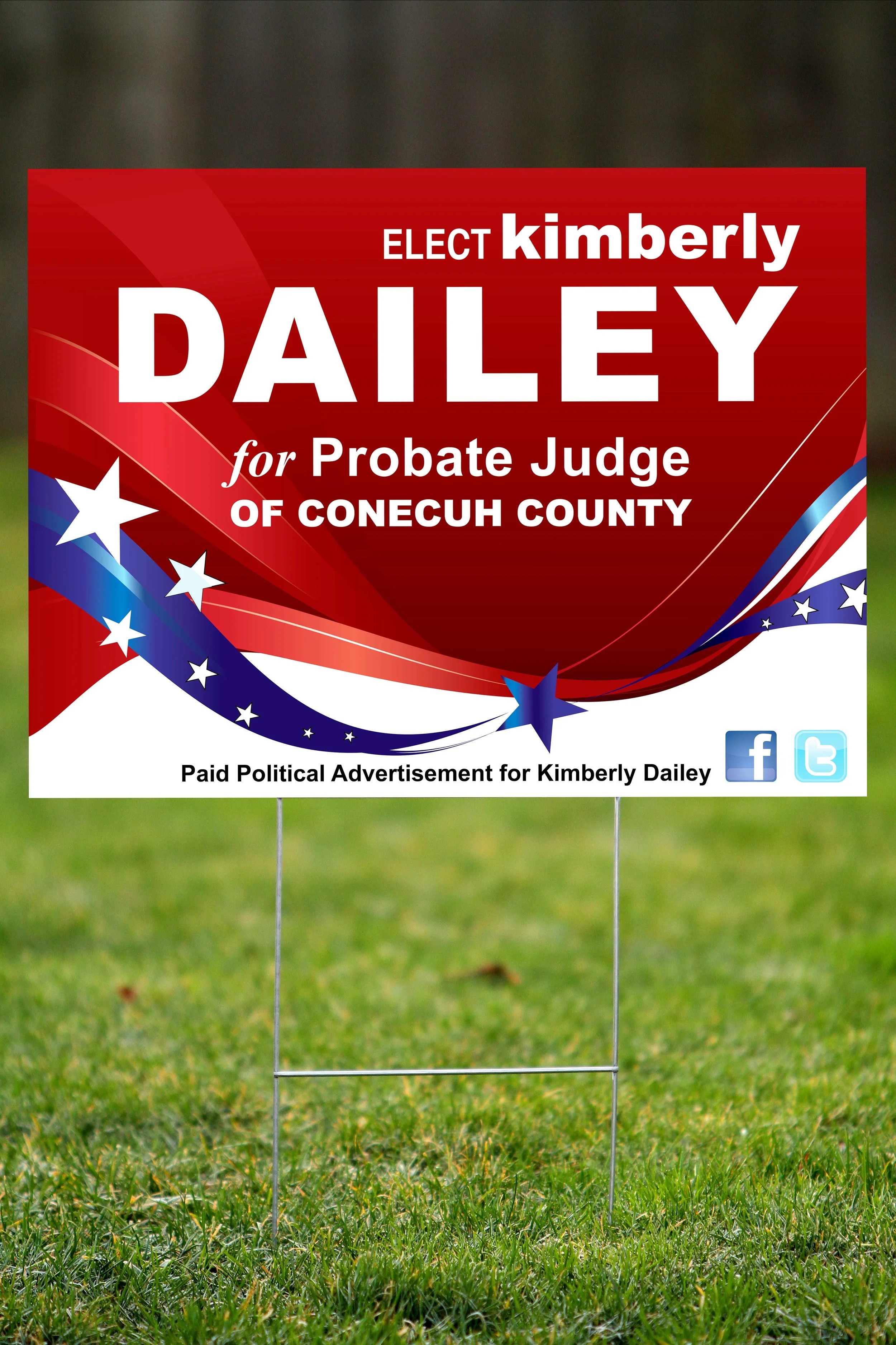 Political Campaign Design