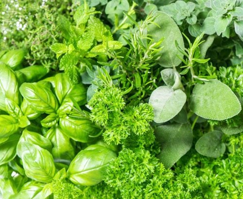 10 surprising foods that boost immunity