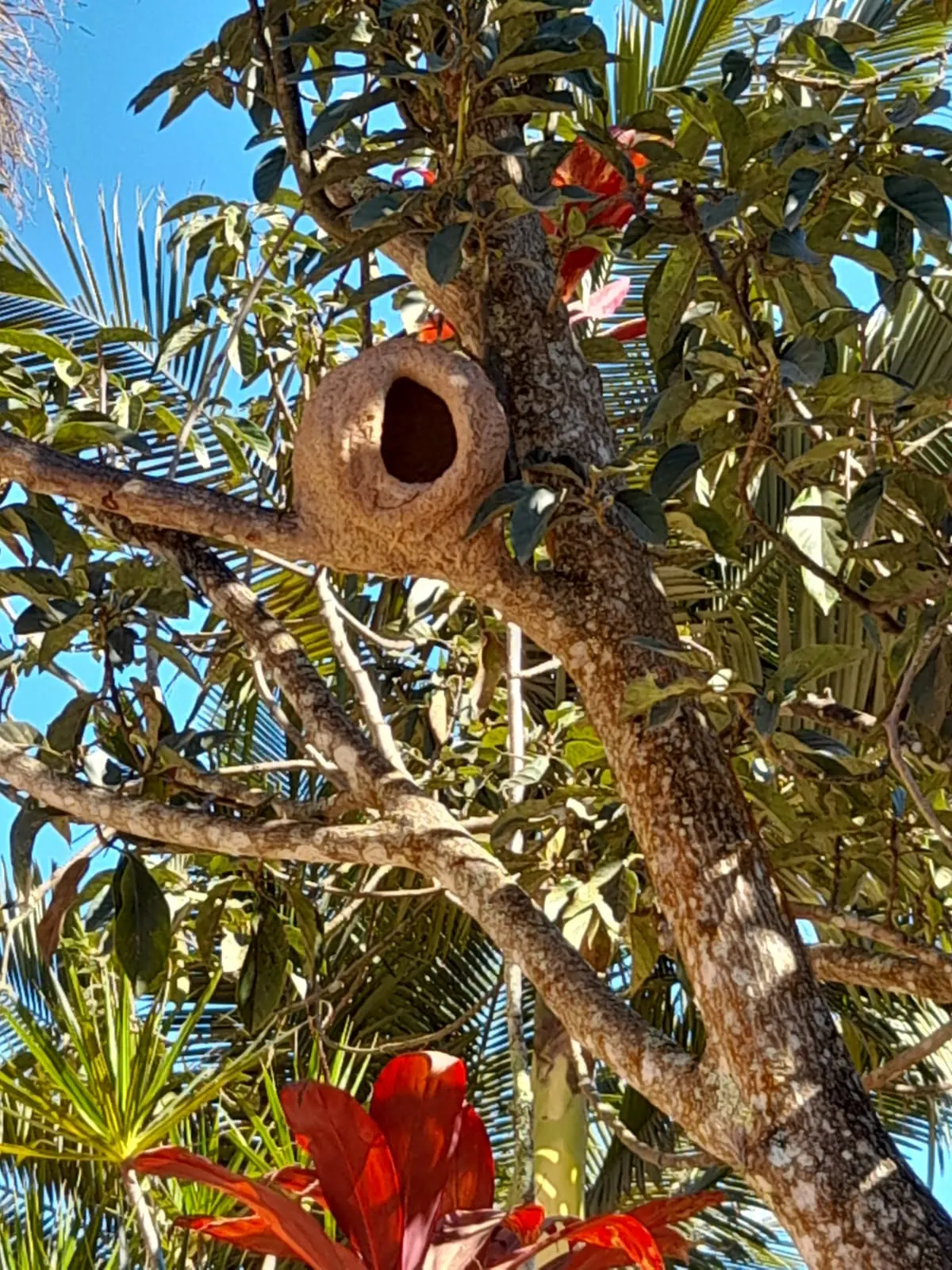 Áreas Comuns da Pousada Vila Bela 24