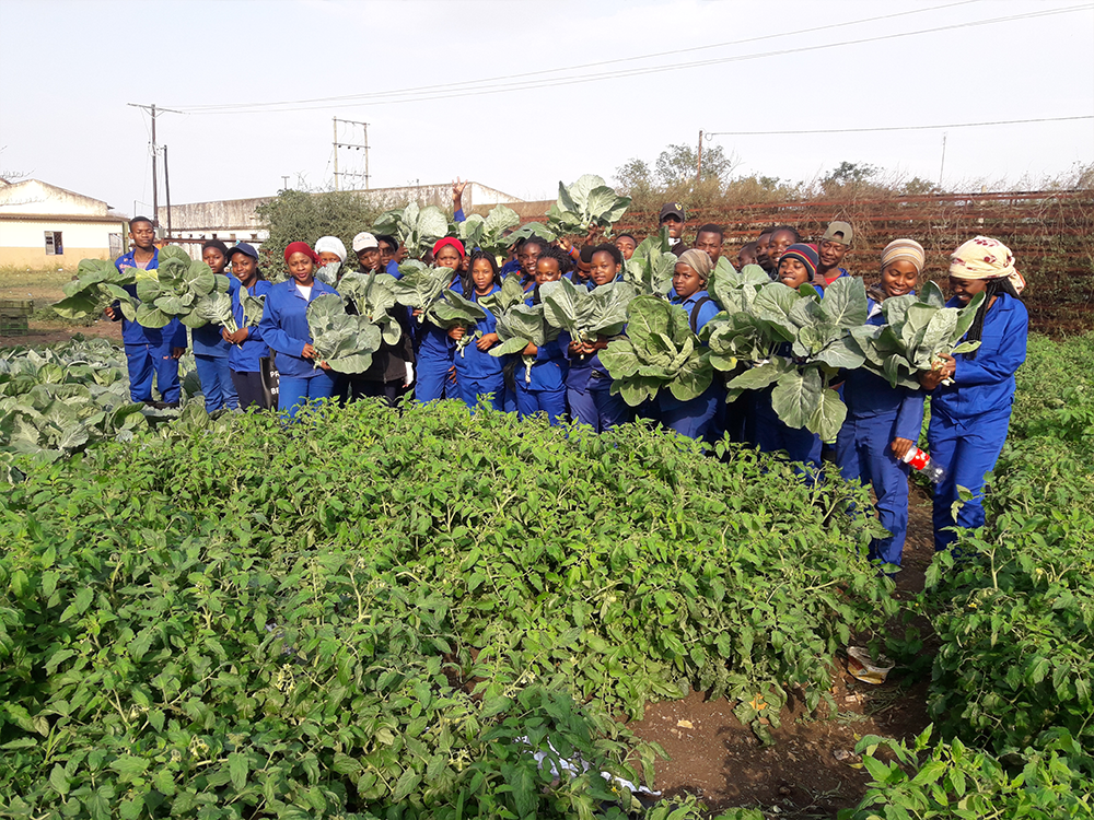 Agriculture & Modern Farming